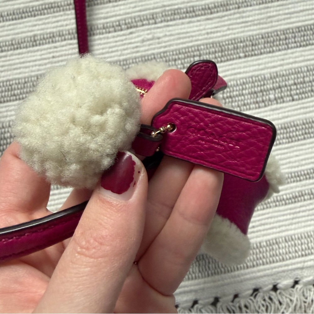 Coach Crossbody Pouch in Leather and Shearling Cranberry Natural - Picture 5 of 10